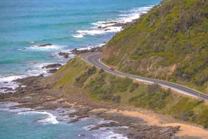 Melbournesta: Great Ocean Road ja Twelve Apostles Tour