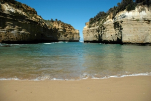 From Melbourne: Great Ocean Road and Wildlife Tour