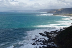 From Melbourne: Great Ocean Road and Wildlife Tour