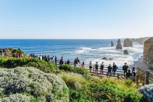From Melbourne: Great Ocean Road, 12 Apostles, Wildlife Tour