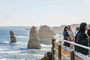 From Melbourne: Great Ocean Road and Wildlife Tour