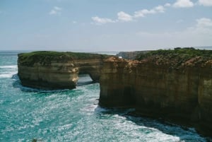 From Melbourne: Great Ocean Road Coastal Day Tour