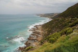 From Melbourne: Great Ocean Road Day Tour