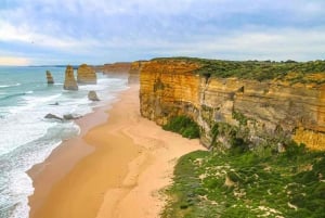 Von Melbourne aus: Great Ocean Road und Twelve Apostles Tour