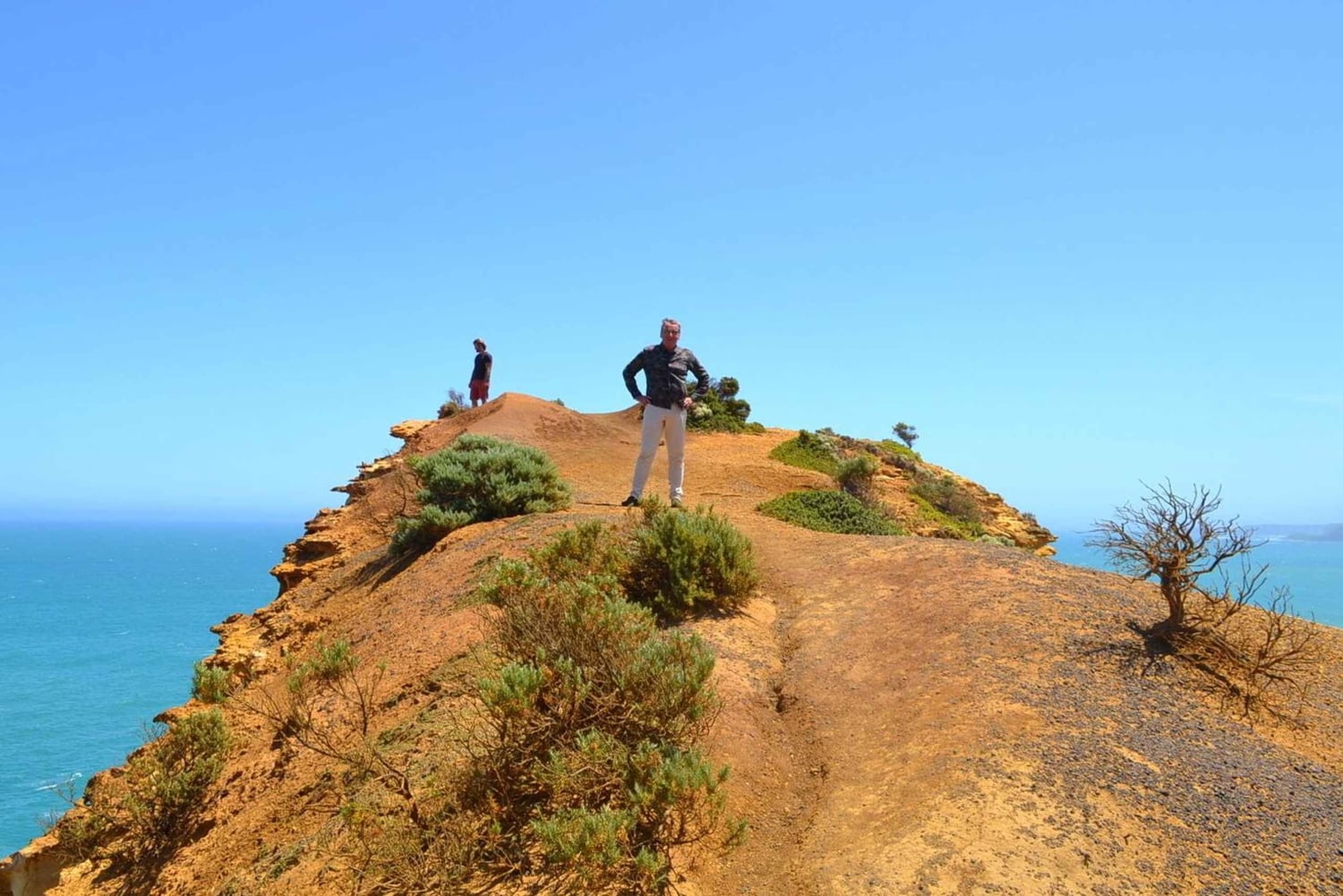 From Melbourne: Great Ocean Road Day Trip with Dinner