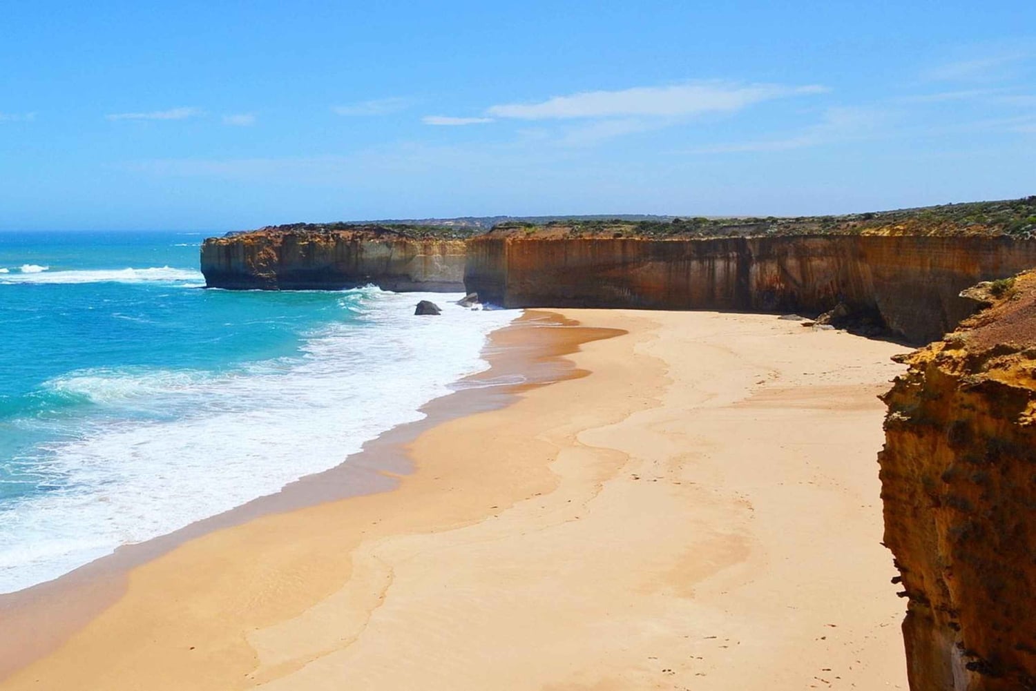 From Melbourne: Great Ocean Road Day Trip with Dinner