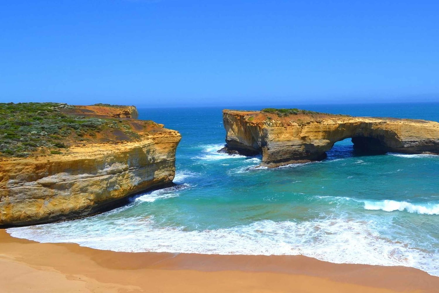 From Melbourne: Great Ocean Road Day Trip with Dinner