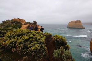 From Melbourne: Great Ocean Road Day Trip with Dinner