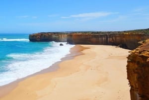 From Melbourne: Great Ocean Road Day Trip with Dinner