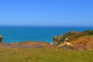 From Melbourne: Great Ocean Road Day Trip with Dinner