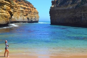 From Melbourne: Great Ocean Road Day Trip with Dinner