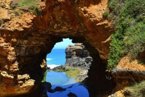 From Melbourne: Great Ocean Road Day Trip with Dinner