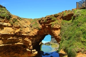 From Melbourne: Great Ocean Road Day Trip with Dinner