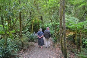 From Melbourne: Great Ocean Road Day Trip with Dinner
