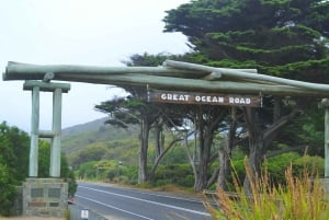 From Melbourne: Great Ocean Road Day Trip with Dinner