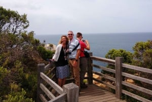 From Melbourne: Great Ocean Road Day Trip with Dinner