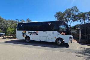 Melbournesta: Great Ocean Road, dingot, kuohuviini ja lounas