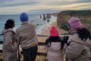 Melbournesta: Great Ocean Road, dingot, kuohuviini ja lounas