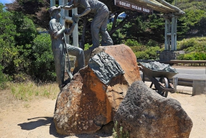 Melbournesta: Great Ocean Road, dingot, kuohuviini ja lounas