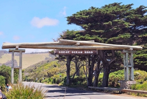 Melbournesta: Great Ocean Road, dingot, kuohuviini ja lounas