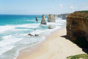 Melbournesta: Great Ocean Road, dingot, kuohuviini ja lounas
