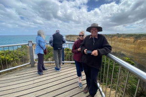 Melbournesta: Great Ocean Road, dingot, kuohuviini ja lounas