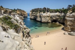 From Melbourne: Great Ocean Road Eco Tour with Lunch
