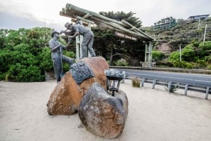 From Melbourne: Great Ocean Road Eco Tour with Lunch