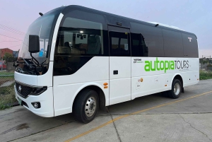 From Melbourne: Great Ocean Road Eco Tour with Lunch