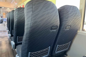 From Melbourne: Great Ocean Road Eco Tour with Lunch