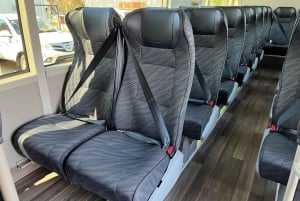 From Melbourne: Great Ocean Road Eco Tour with Lunch