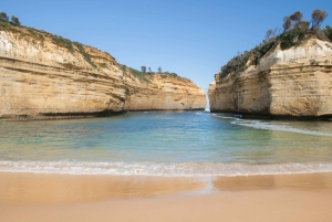 From Melbourne: Great Ocean Road Explorer - Day Tour.