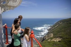 From Melbourne: Great Ocean Road Full-Day Guided Trip