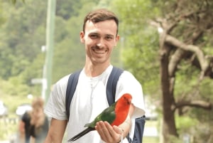 From Melbourne: Great Ocean Road Full-Day Guided Trip