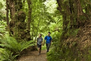 From Melbourne: Great Ocean Road Full-Day Guided Trip
