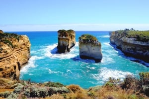 From Melbourne: Great Ocean Road Full-Day Guided Trip