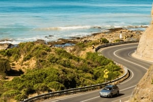 Melbournesta: Great Ocean Roadin koko päivän auringonlaskukierros