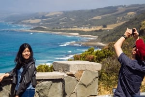 Melbournesta: Great Ocean Roadin koko päivän auringonlaskukierros