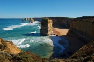 From Melbourne: Great Ocean Road Guided Day Trip