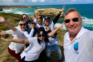 From Melbourne: Great Ocean Road Premium Tour in Reverse