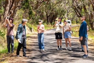 From Melbourne: Great Ocean Road Premium Tour in Reverse