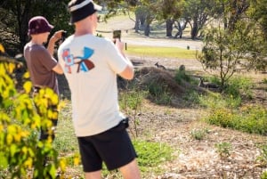 From Melbourne: Great Ocean Road Premium Tour in Reverse