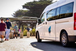 From Melbourne: Great Ocean Road Premium Tour in Reverse