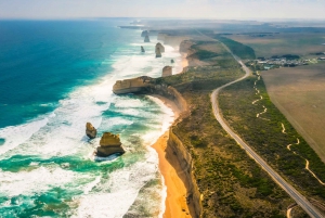 From Melbourne: Great Ocean Road Private Guided Tour by Car