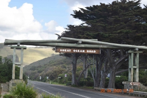 From Melbourne: Great Ocean Road Private Guided Tour by Car