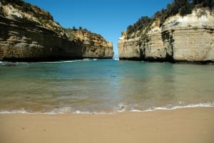 Da Melbourne: Tour privato guidato in auto della Great Ocean Road