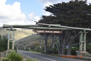 Da Melbourne: Tour privato guidato in auto della Great Ocean Road