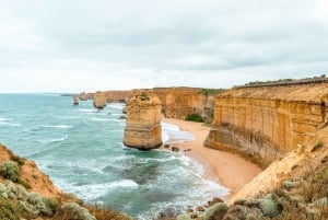 From Melbourne: Small Group Great Ocean Road Tour