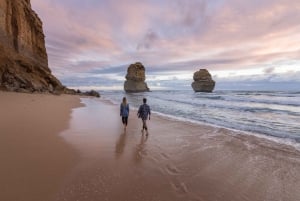 Au départ de Melbourne : Great Ocean Road et visite touristique de la faune et de la flore