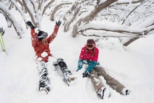 From Melbourne: Lake Mountain Snow Experience